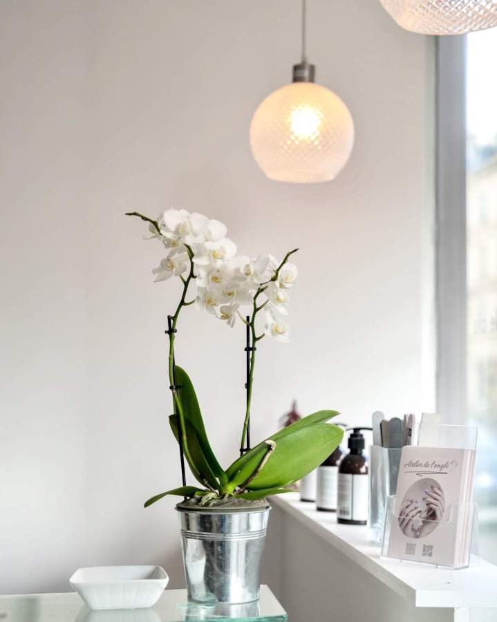 Atelier de L'Ongle Versailles